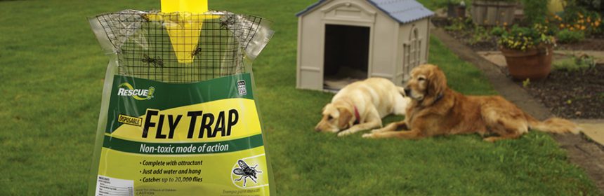 Fly Trap for Farm  Trap 'N Toss™ Disposable Fly Trap