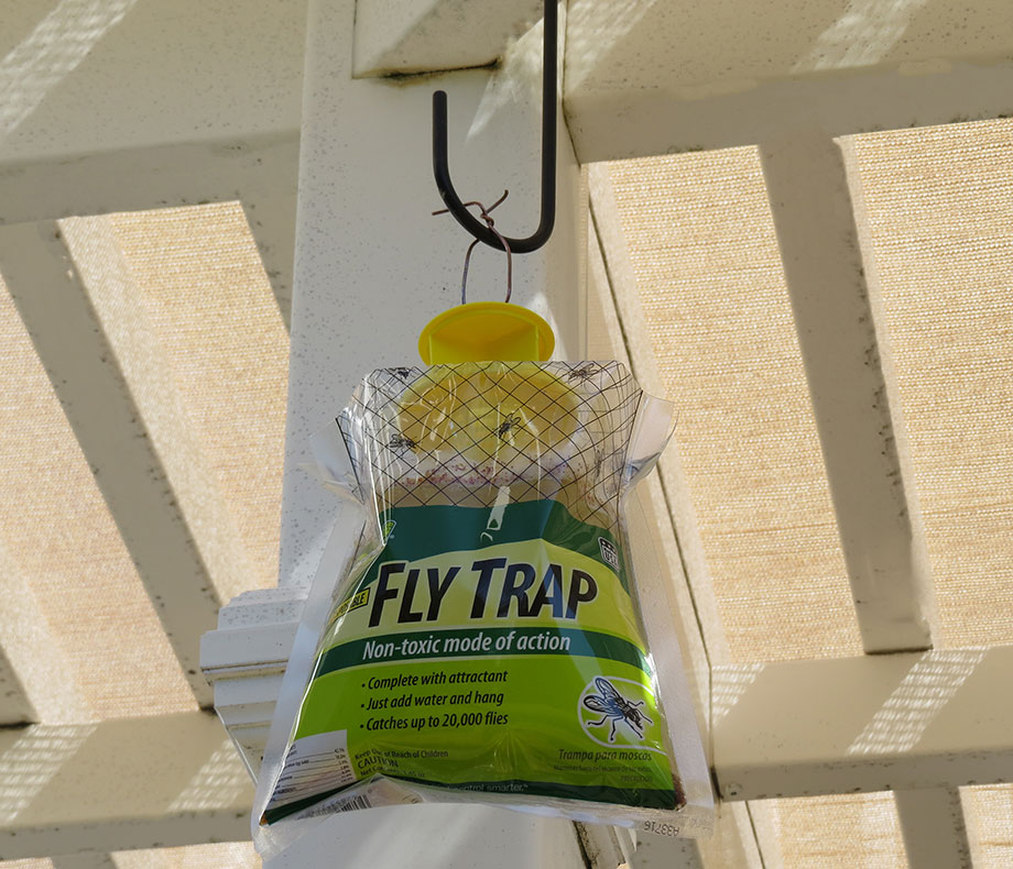 Rescue Outdoor POP! Fly Trap- Fly Contraol