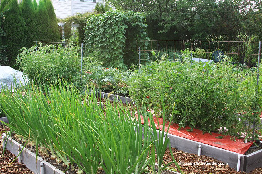 Raised Bed Gardening Class - Susan's in the Garden