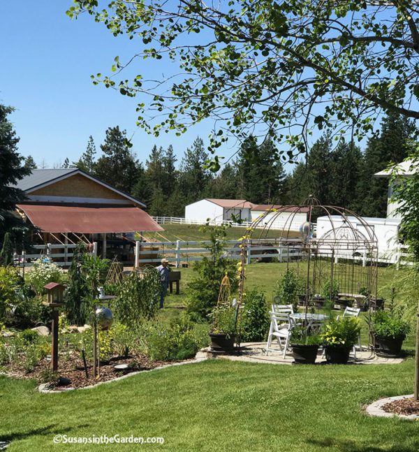 July 7 Column: Coeur d'Alene Garden Tour - Susan's in the Garden