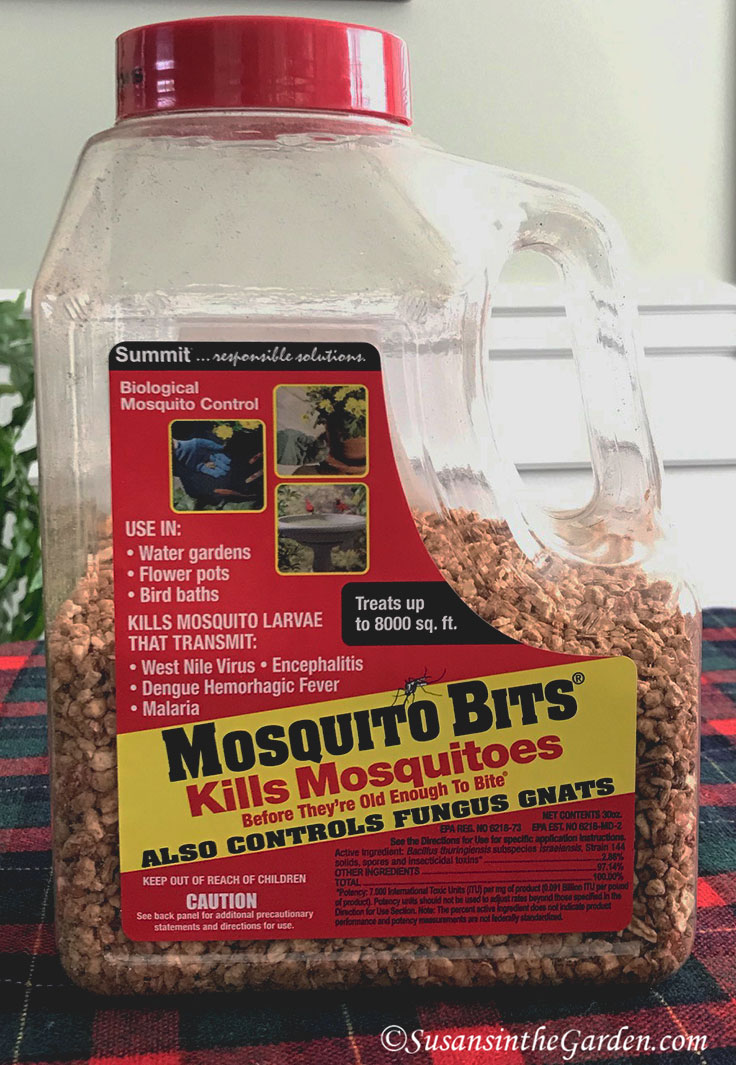 https://www.susansinthegarden.com/wp-content/uploads/2019/12/fungus-gnat-product-IMG_2066PS.jpg