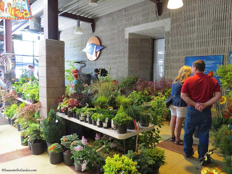 Column Garden Expo in Spokane Susan's in the Garden