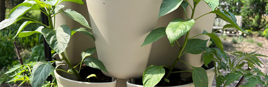 GreenStalk Vertical Planter